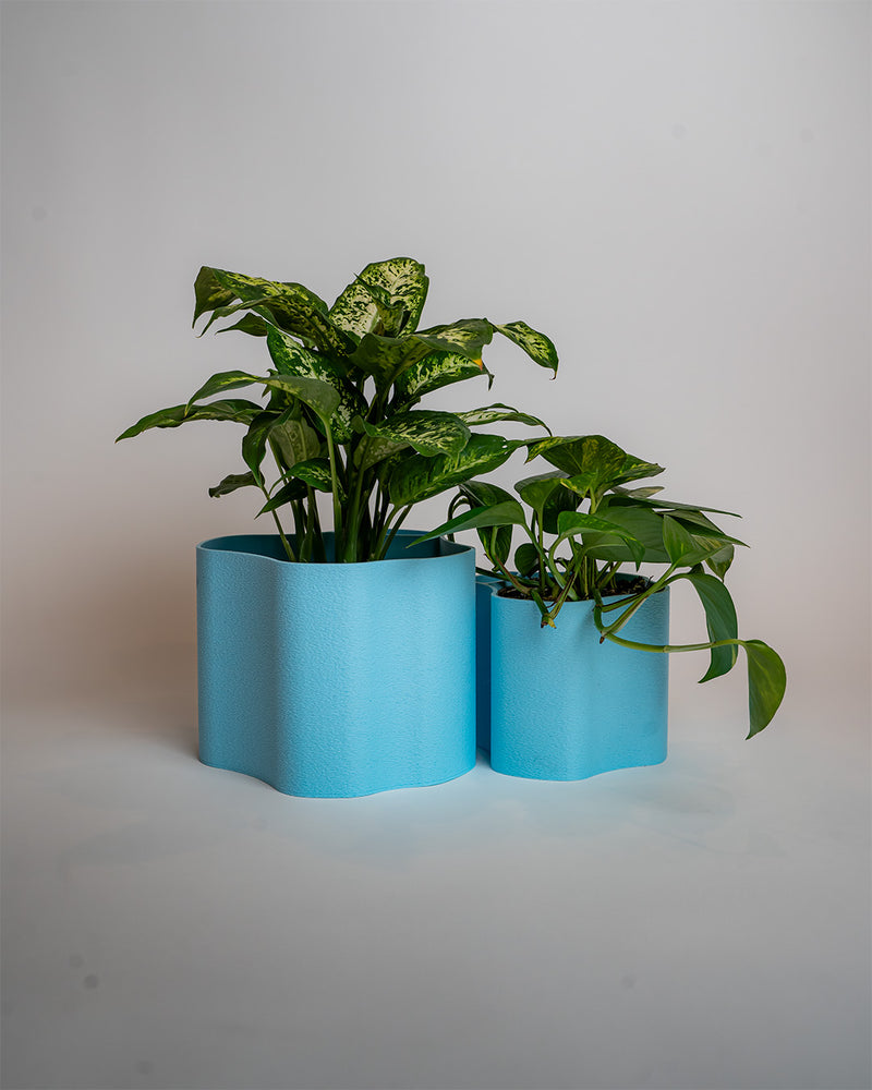 MID ELLI | BLUE