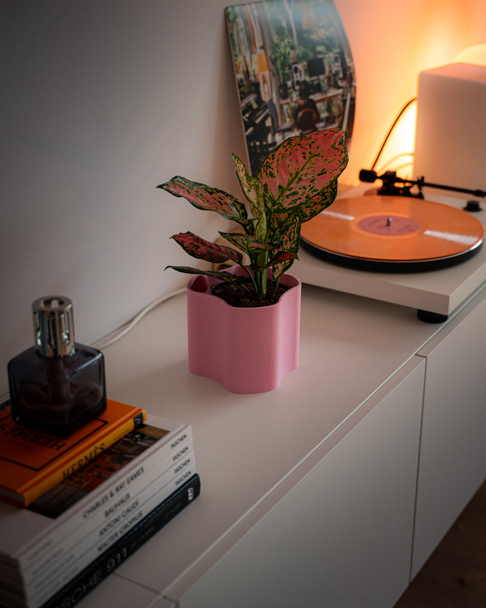 SMALL ELLI | ROSA