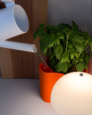 MID ELLI | ORANGE